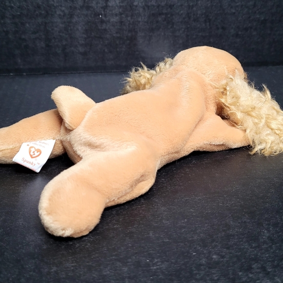 TY Beanie Babies Spunky The Cocker Spaniel - Picture 3 of 10
